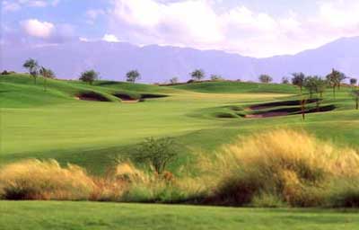 Whirlwind - Devil's Claw - Chandler, Arizona Golf